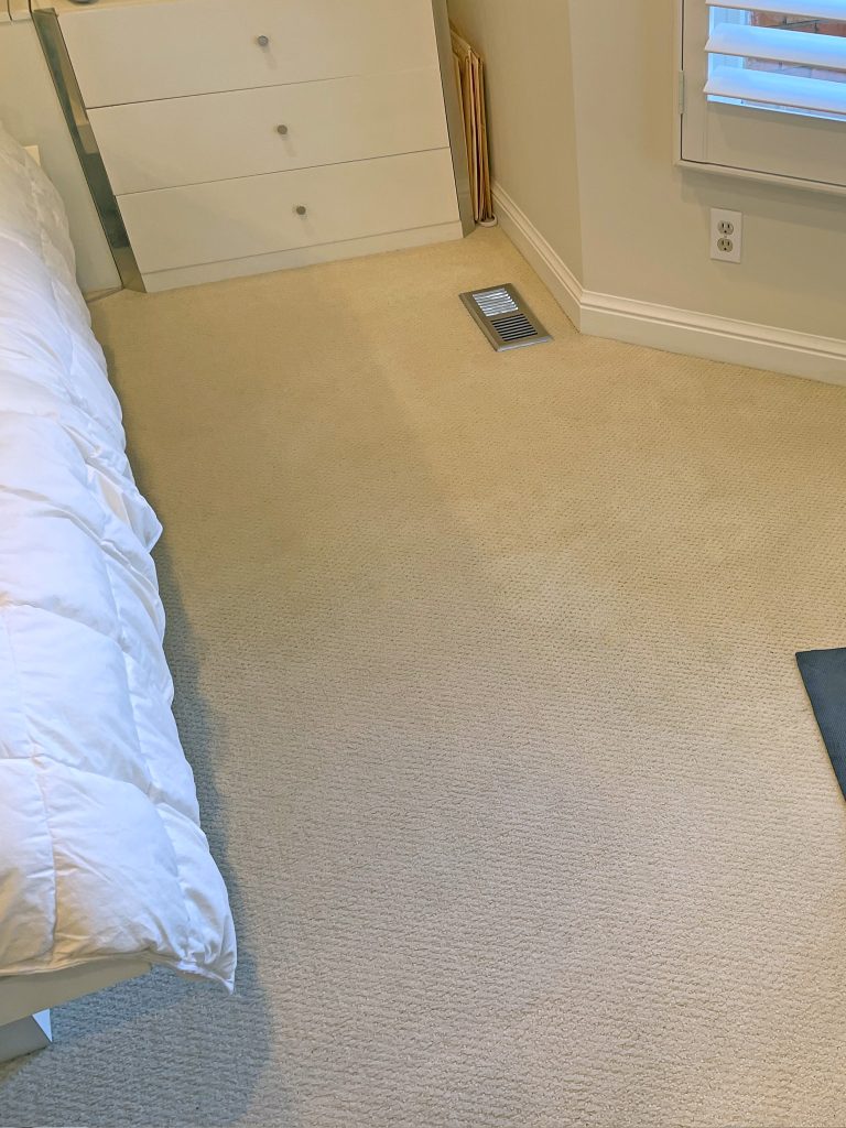 Carpet after cleaning