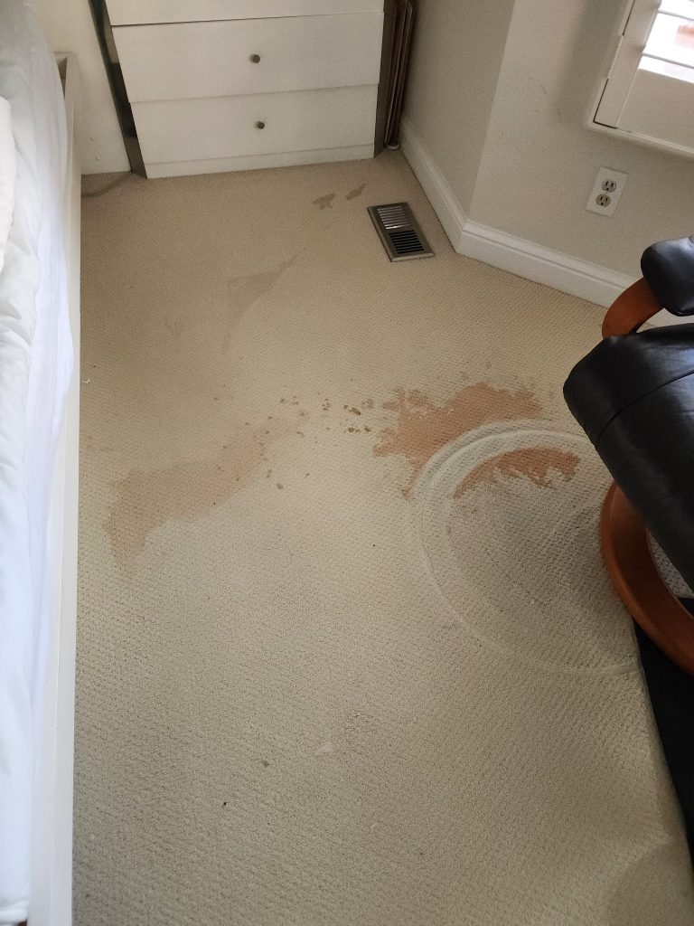 Carpet Before Cleaning