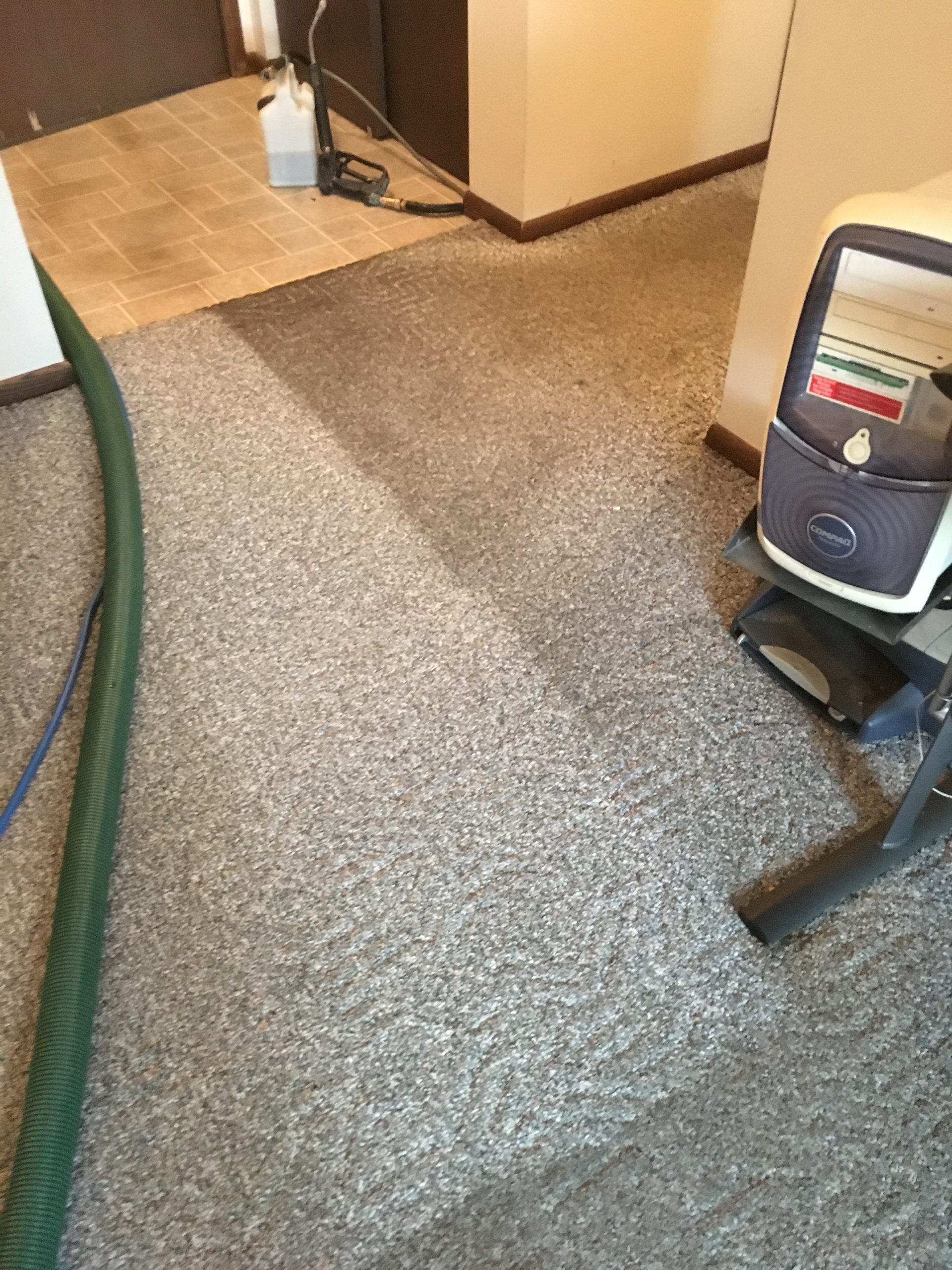 Carpet Cleaning 