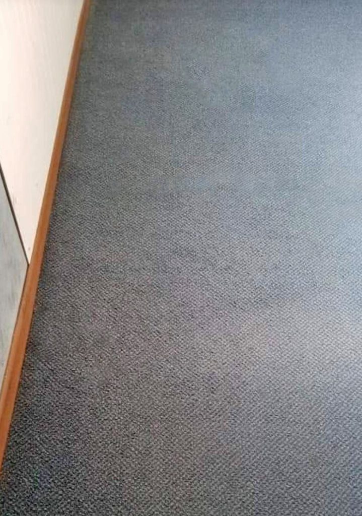 Residential Carpet After Cleaning
