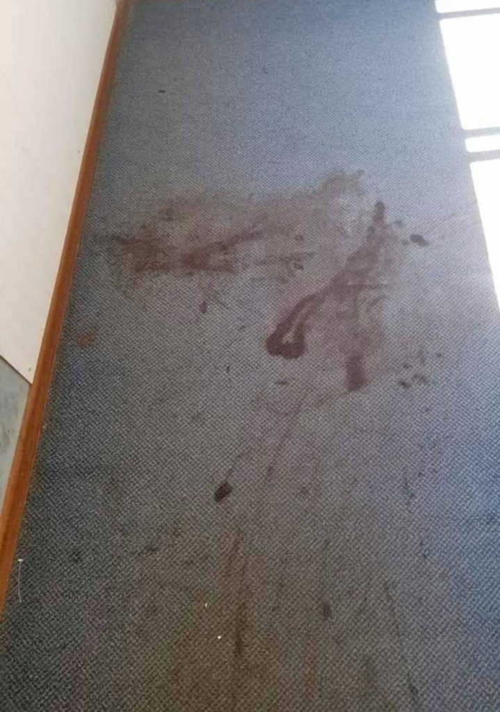 Residential Carpet Before Cleaning