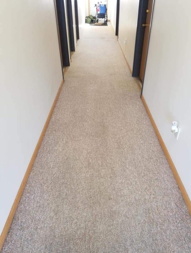 After carpet cleaning